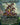 Perfect Defense - Defense of the Heart (Borderless)