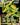 Rayquaza VMAX (Secret)