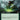 Rootpath Purifier (Extended Art)