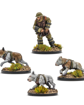Konflikt '47 Cerberus Squad 1 