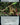 Staff of Titania (Extended Art)