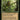 Nature's Lore (Retro Frame)
