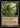 Nature's Lore (Retro Frame)