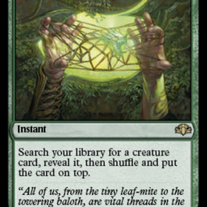 Worldly Tutor