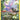 Hisuian Goodra