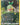 Turtwig