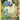 Mareep