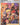 Friends in Sinnoh (Full Art)