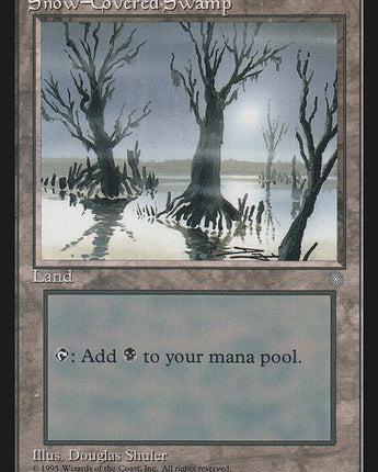 Snow-Covered Swamp