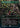 Eldritch Evolution