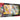 Pokemon Iono’s Bellibolt Ex Premium Collection 