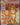 Arcanine ex - 224/198
