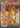 Arcanine ex - 224/198