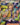 Arven - 235/198