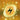 Basic Lightning Energy - 257/198
