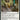 Chivalric Alliance