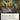 Chivalric Alliance (Extended Art)
