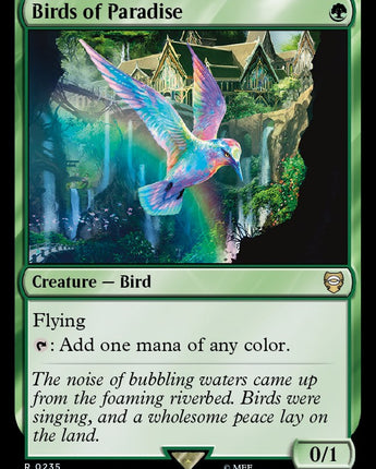 Birds of Paradise
