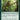 Nature's Lore