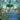 Rejuvenating Springs (Borderless)