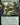 Composer of Spring (Extended Art)