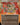 Path to Exile (Borderless)