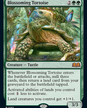 Blossoming Tortoise