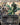 Karmic Justice (Anime Borderless)