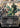 Karmic Justice (Anime Borderless)