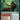 Questing Druid