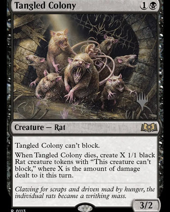 Tangled Colony
