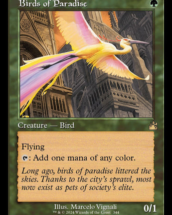 Birds of Paradise (Retro Frame)