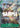 Okiku (CS 2023 Celebration Pack)