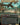 Swooping Pteranodon (Borderless)