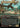 Swooping Pteranodon (Borderless)