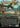 Swooping Pteranodon (Borderless)