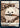 Dog // Cat Double-Sided Token