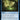 Radstorm (Surge Foil)