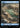 Island (0848) (Surge Foil)