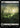 Swamp (0849) (Surge Foil)