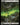 Swamp (0850) (Surge Foil)