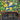 Vandalblast (Borderless)