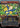 Vandalblast (Borderless)