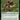 Branching Evolution