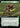 Branching Evolution (Extended Art)