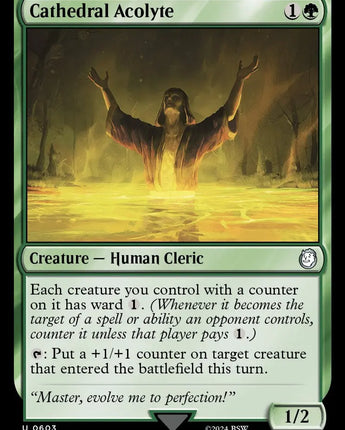 Cathedral Acolyte (Surge Foil)