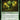 Glowing One (Surge Foil)