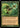 Flare of Cultivation (Retro Frame)