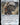 Sword of Feast and Famine