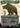 Lumra, Bellow of the Woods (Borderless) (0293)